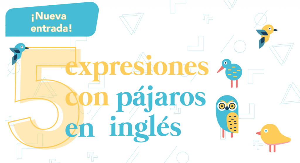 expresiones con pájaros en inglés